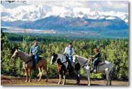 Alpine Horseback Tour